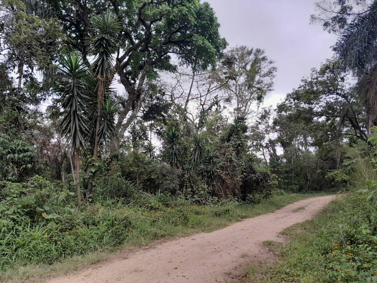 #281 - Terreno para Venda em Pirapora do Bom Jesus - SP