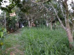 Chácara para Venda em Pirapora do Bom Jesus - 5