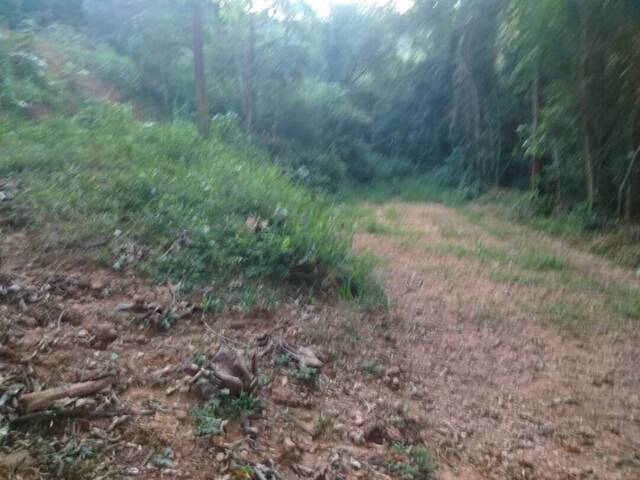 Terreno para Venda em Pirapora do Bom Jesus - 4