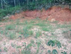Terreno para Venda em Pirapora do Bom Jesus - 5