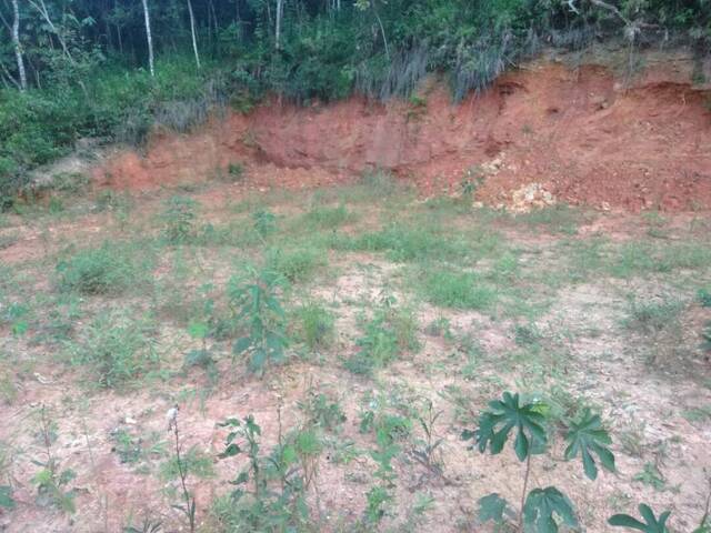 Terreno para Venda em Pirapora do Bom Jesus - 5