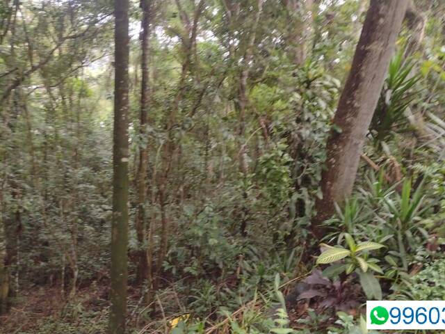 Terreno para Venda em Pirapora do Bom Jesus - 5