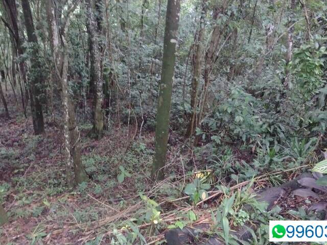 Terreno para Venda em Pirapora do Bom Jesus - 4