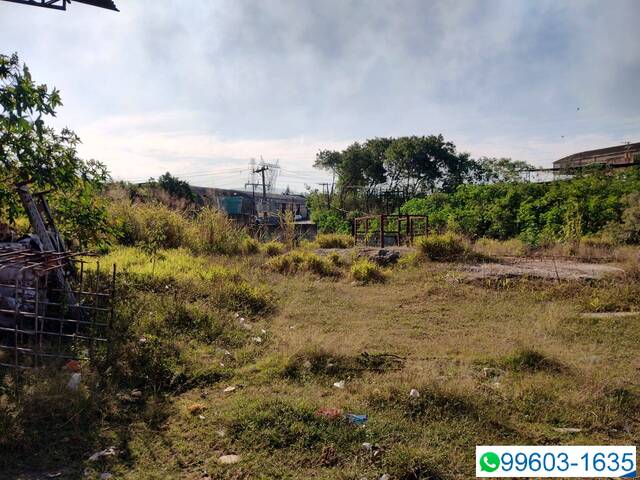 Terreno para Venda em Pirapora do Bom Jesus - 5