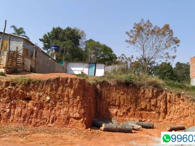 Terreno para Venda em Pirapora do Bom Jesus - 5