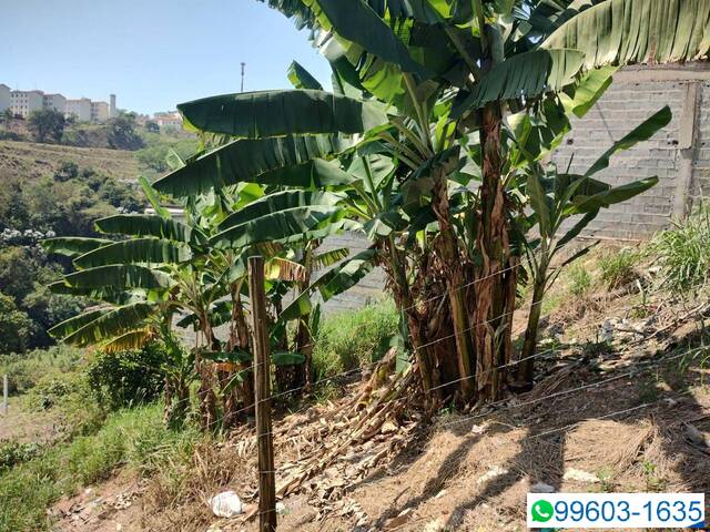 #249 - Área para Venda em Santana de Parnaíba - SP