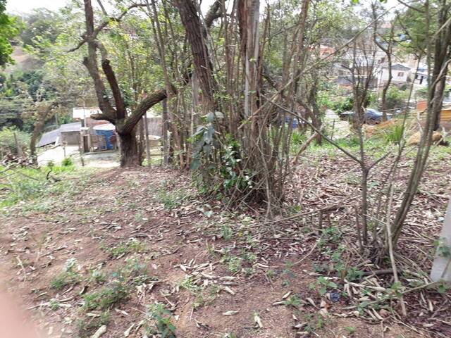 #301 - Área para Venda em Santana de Parnaíba - SP