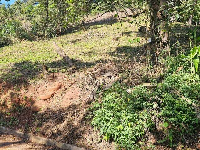 Área para Venda em Santana de Parnaíba - 4