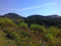 Área para Venda em Santana de Parnaíba - 5